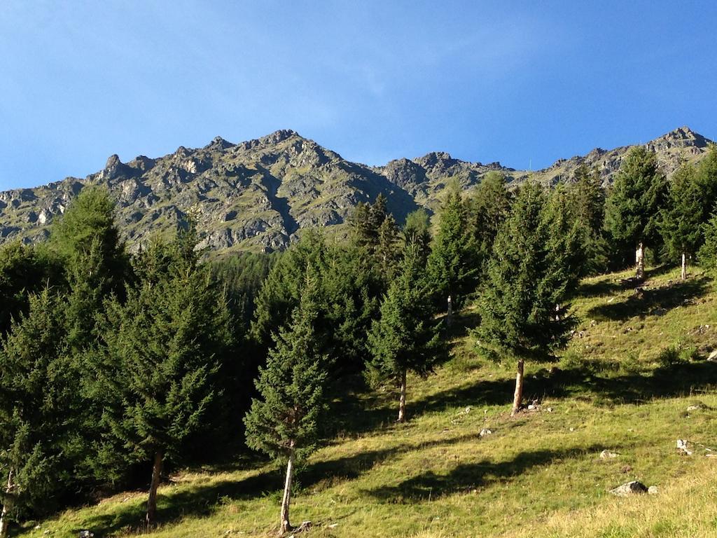 Apart Christa Kaunertal Szoba fotó